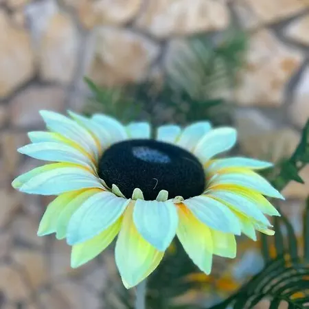 La Du Paradis Du Coto - Piscine-mer&surf