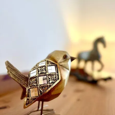 La Du Paradis Du Coto - Piscine-mer&surf