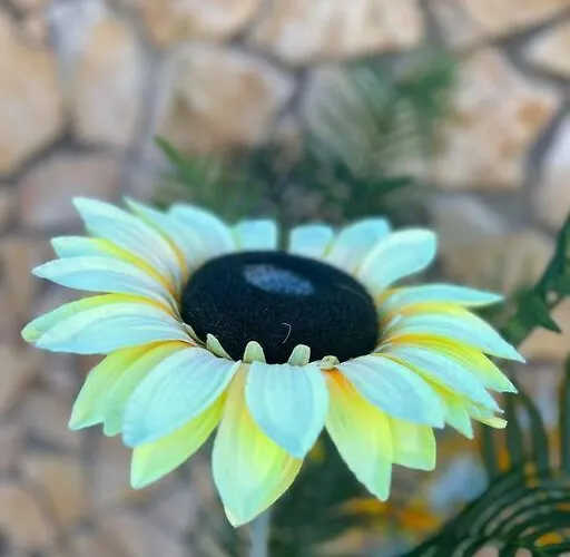 Villa Paraiso Do Coto - Piscina, Mar E Surf